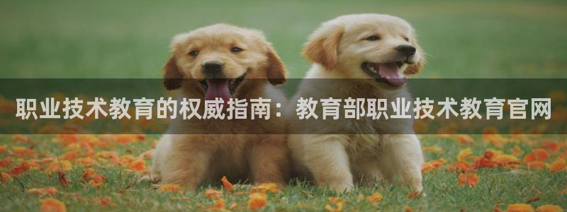 ag九游会j9登录入口旧版|职业技术教育的权威指南：教育部职业技术教育官网