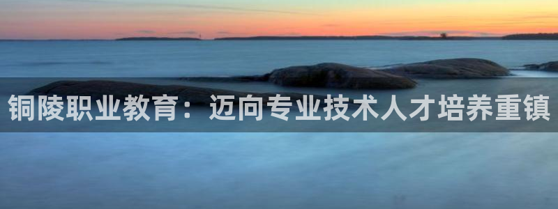 ag8亚洲国际集团j9|铜陵职业教育：迈向专业技术人才培养重镇