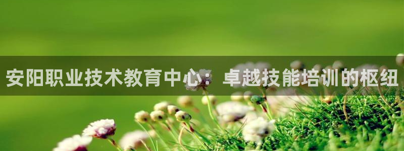 AG九游会j9官方网站|安阳职业技术教育中心：卓越技能培训的枢纽