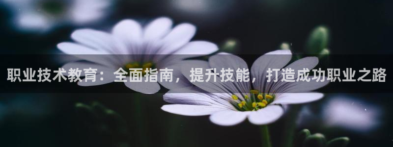 j9九游会登录入口首页|职业技术教育：全面指南，提升技能，打造成功职业之路