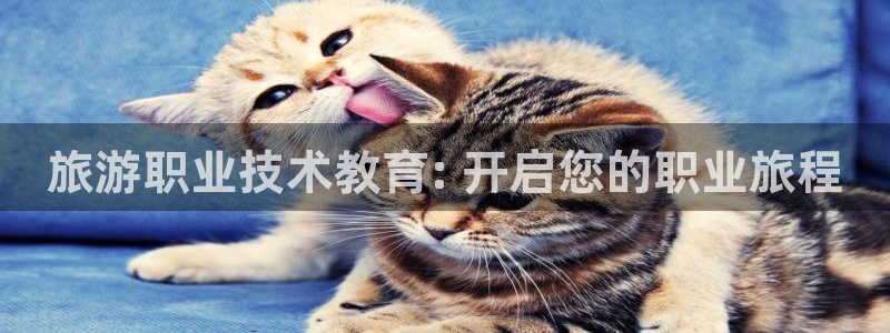 J9直营平台|旅游职业技术教育: 开启您的职业旅程