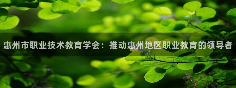 j9九游会登录网址|惠州市职业技术教育学会：推动惠州地区职业教育的领导者
