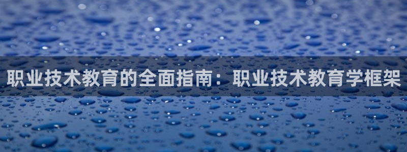 j9国际官网|职业技术教育的全面指南：职业技术教育学框架