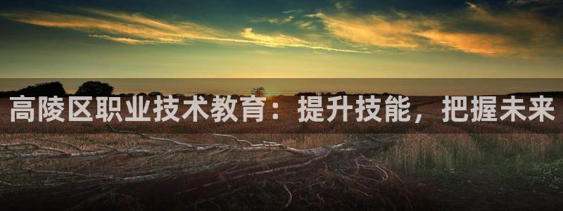 j9官网平台|高陵区职业技术教育：提升技能，把握未来