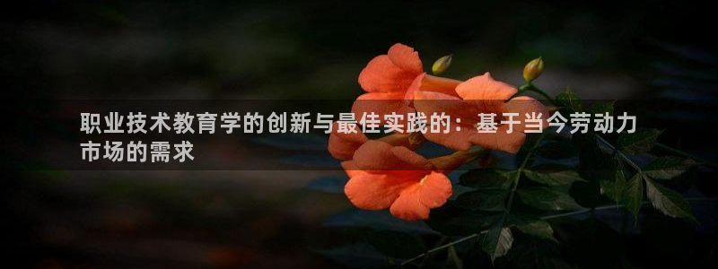 j9九游会登录入口首页|职业技术教育学的创新与最佳实践的：基于当今劳动力
市场的需求
