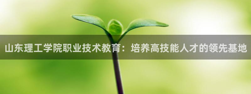 j9国际站官网首页直达|山东理工学院职业技术教育：培养高技能人才的领先基地