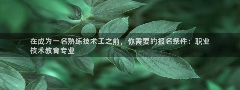 j9九游会老哥俱乐部交流|在成为一名熟练技术工之前，你需要的报名条件：职业
技术教育专业