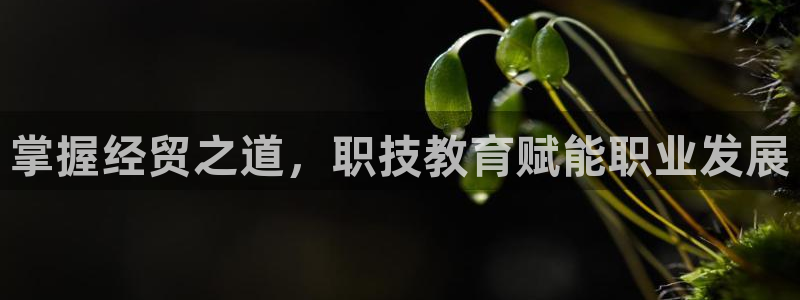 j9九游会-真人游戏第一品牌|掌握经贸之道，职技教育赋能职业发展